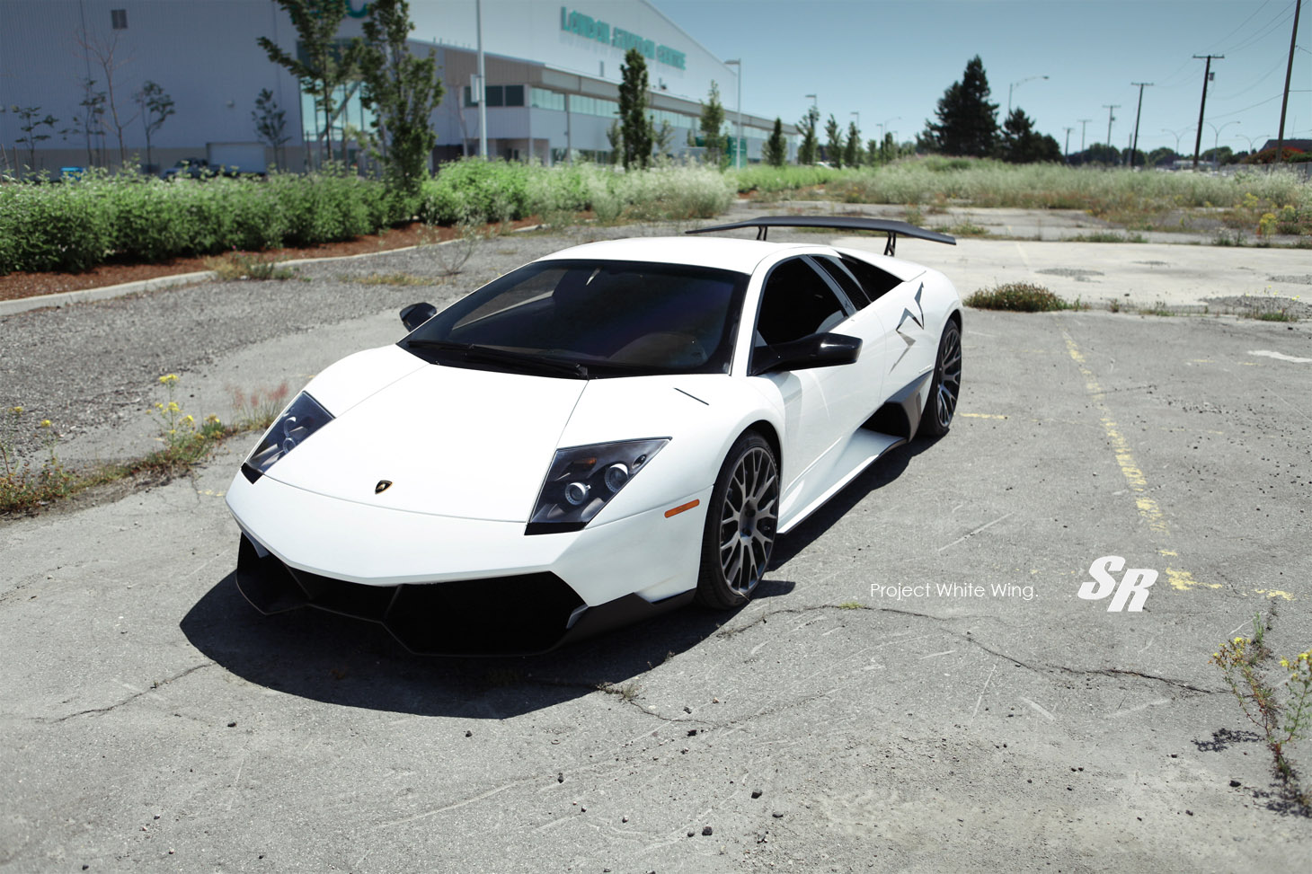 SR Auto Lamborghini Murcielago SV with PUR Wheels