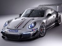 Porsche 911 GT3 Cup Race Car (2013)
