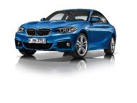 BMW 2-Series Coupe (2014)