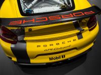 Porsche Cayman GT4 Clubsport (2015)