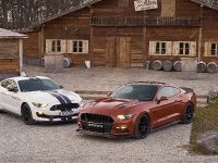 Ford Mustang Geiger GT 820 (2016)