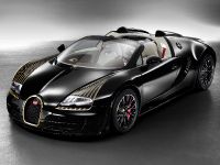 Bugatti Veyron Grand Sport Vitesse Black Bess (2014)