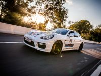 Porsche Martini Lineup (2014)