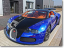 Cam-Shaft-Veyron-Sang-Noir-thumb