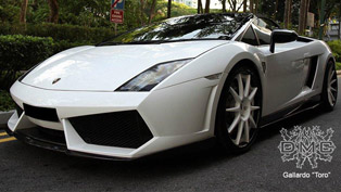 lamborghini gallardo toro by dmc