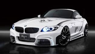 BMW Z4 White Wolf RR by Rowen
