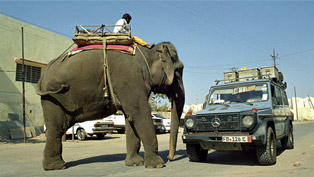 gunther holtorf's 23-year road trip in mercedes-benz g-wagen