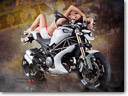 vilner-ducati-monster-1100-evo-THUMB