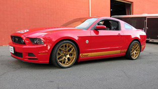 holman moody tdf ford mustang