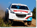 Peugeot-208-Type-R5-THUMB