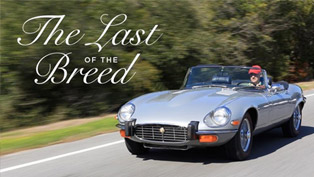 Petrolicious: The Last Of The Breed [VIDEO]