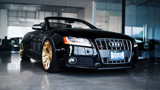 more gold for sr auto audi s5 convertible