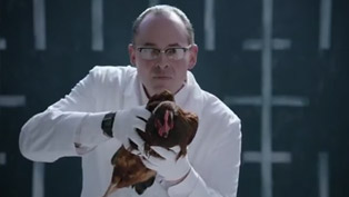 jaguar vs. chicken or cat vs. mercedes-benz [video]