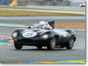 Jaguar-D-type-THUMB