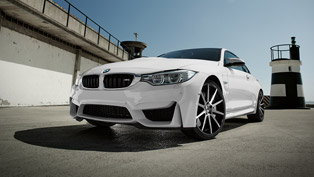 BMW, Audi and Mercedes Benefit from AEZ Straight