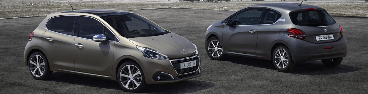 2015 Peugeot 208 Ice Silver and Ice Grey