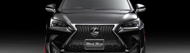 Black Bison is the Name Given to Lexus NX by Wald International 