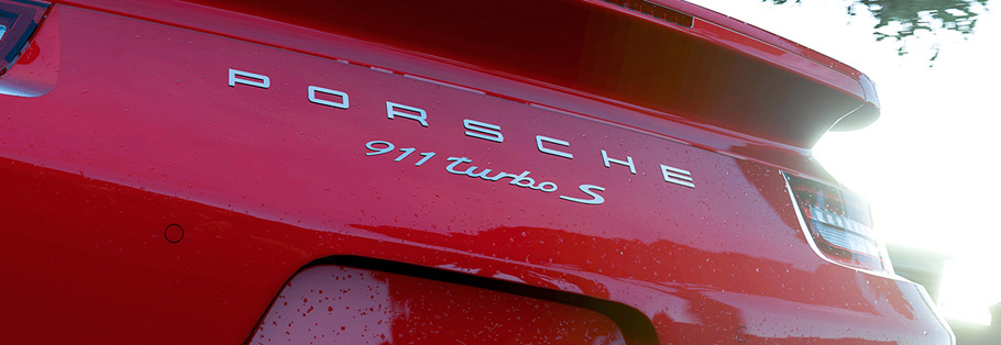 2014 Porsche 911 Turbo S Back