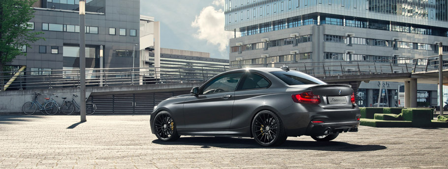  2016 BMW M235i Track Edition Rear and Side View