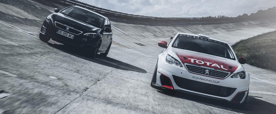 Peugeot 308 Racing Cup and Peugeot 308 GTi