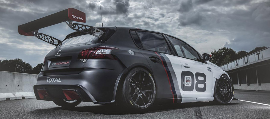 Peugeot 308 Racing Cup Rear View