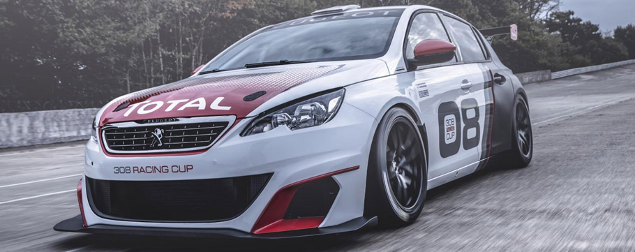 Peugeot 308 Racing Cup Front View