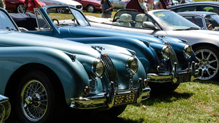 jaguar enthusiasts gather for a prestigious event