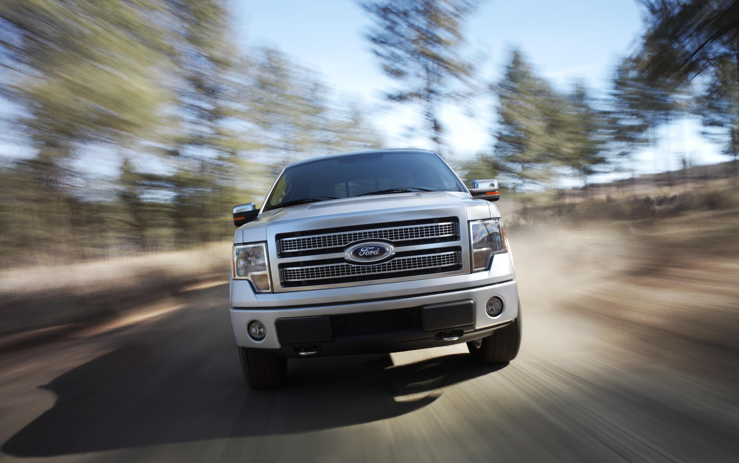 Ford ratios 2009 #5