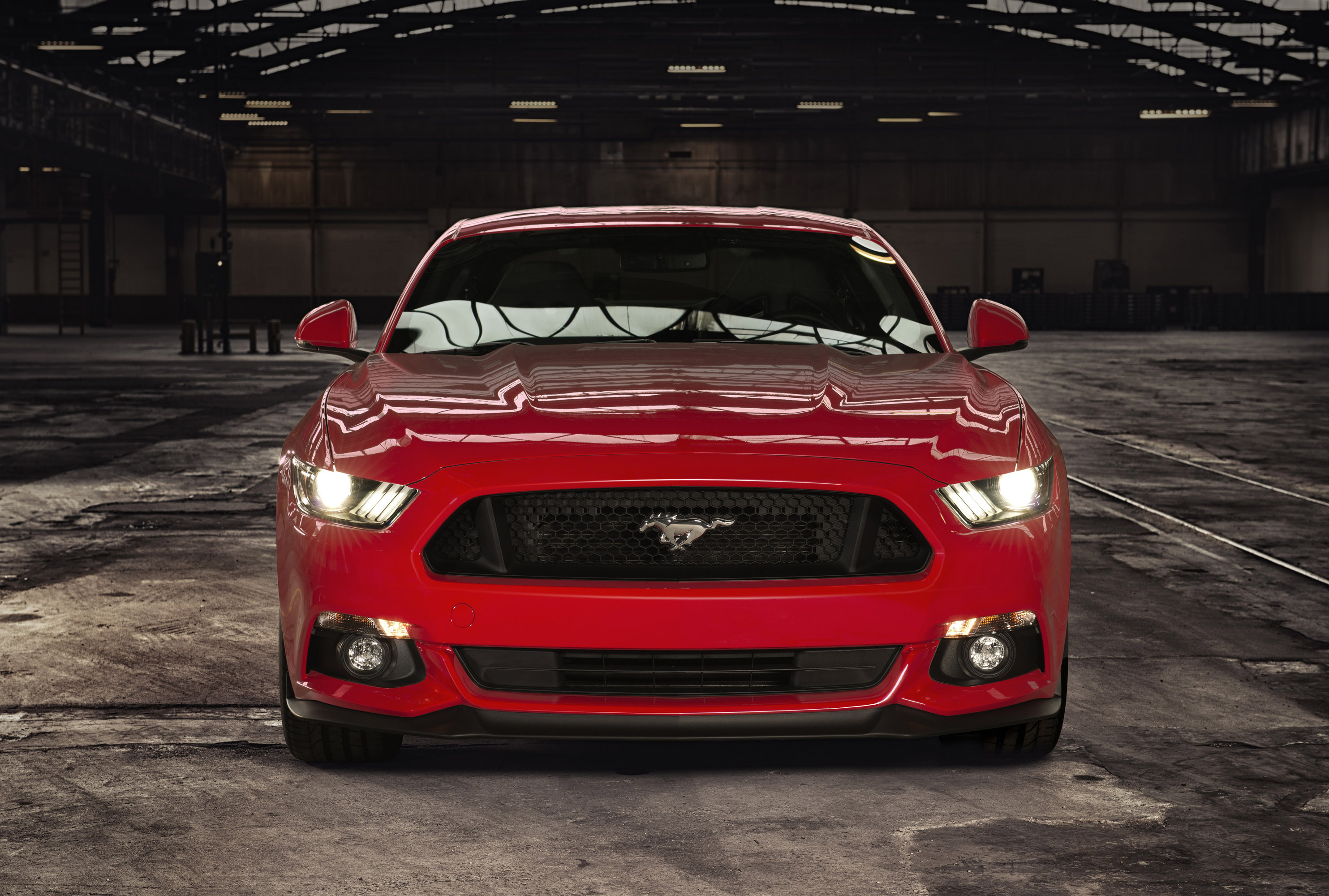 Festival ford #4