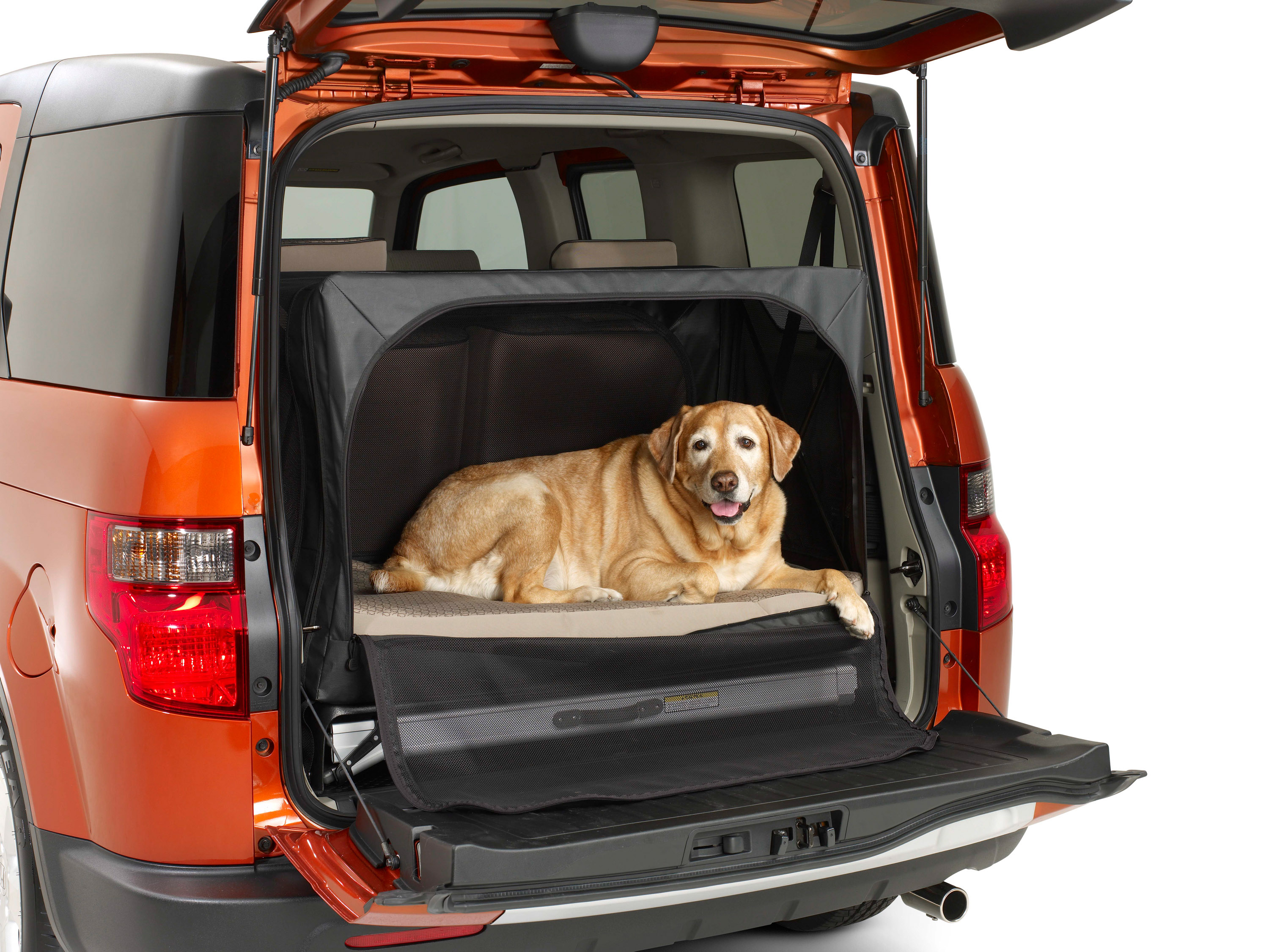 Dogfriendly Honda Element Concept Transforms SUV into Pethauling Champ