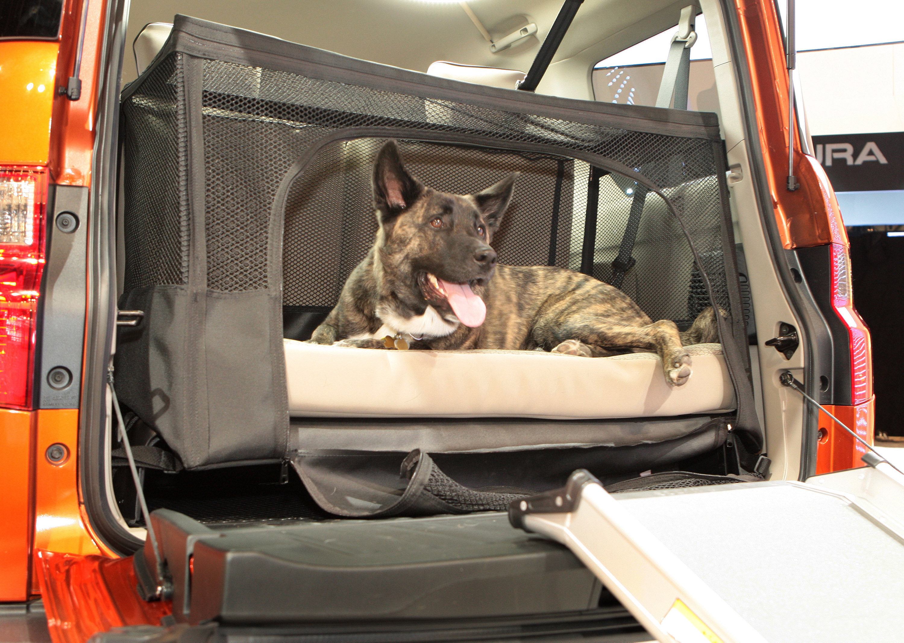 Dogfriendly Honda Element Concept Transforms SUV into Pethauling Champ