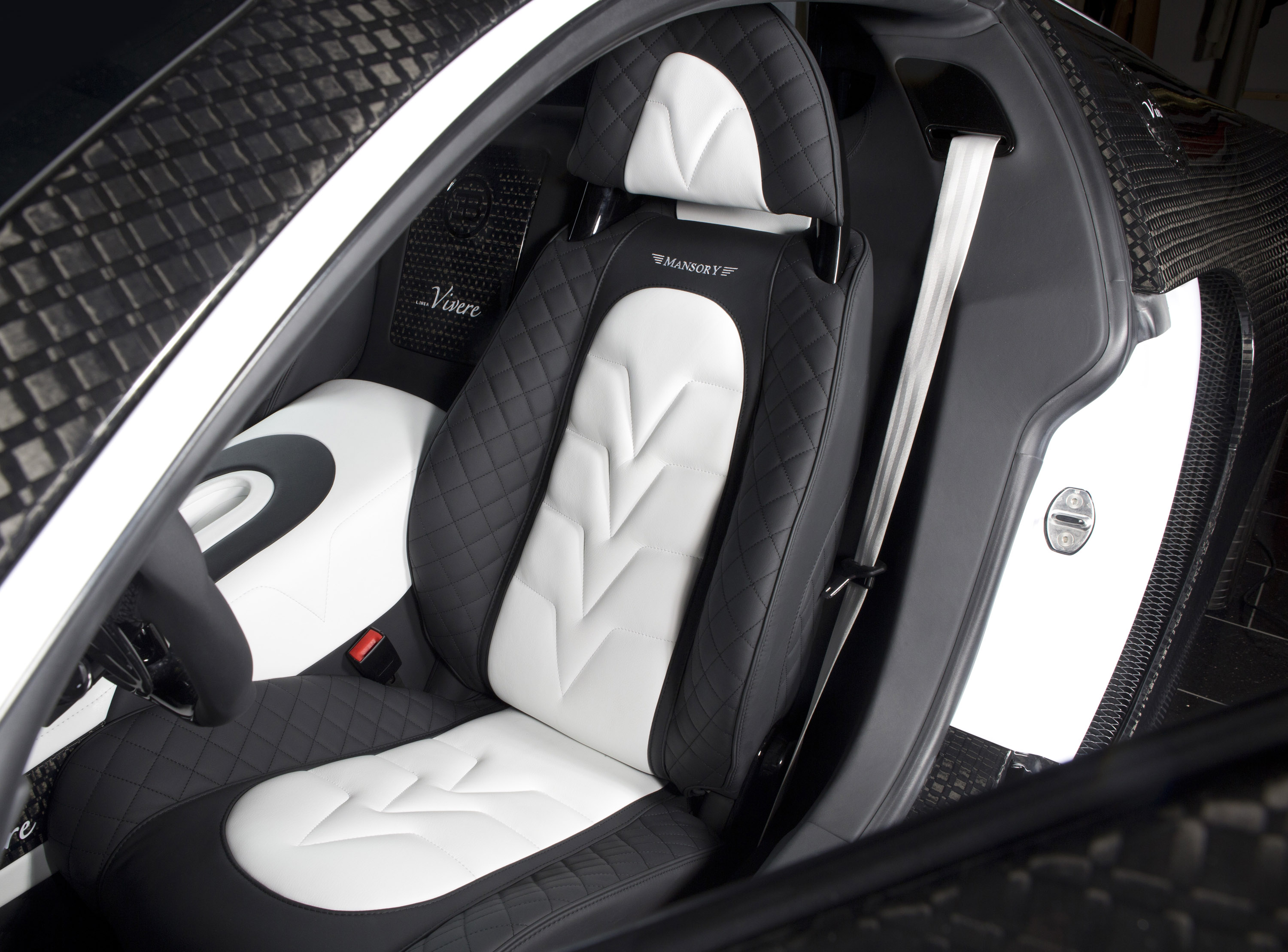 Mansory Bugatti Veyron Vivere Picture 97366
