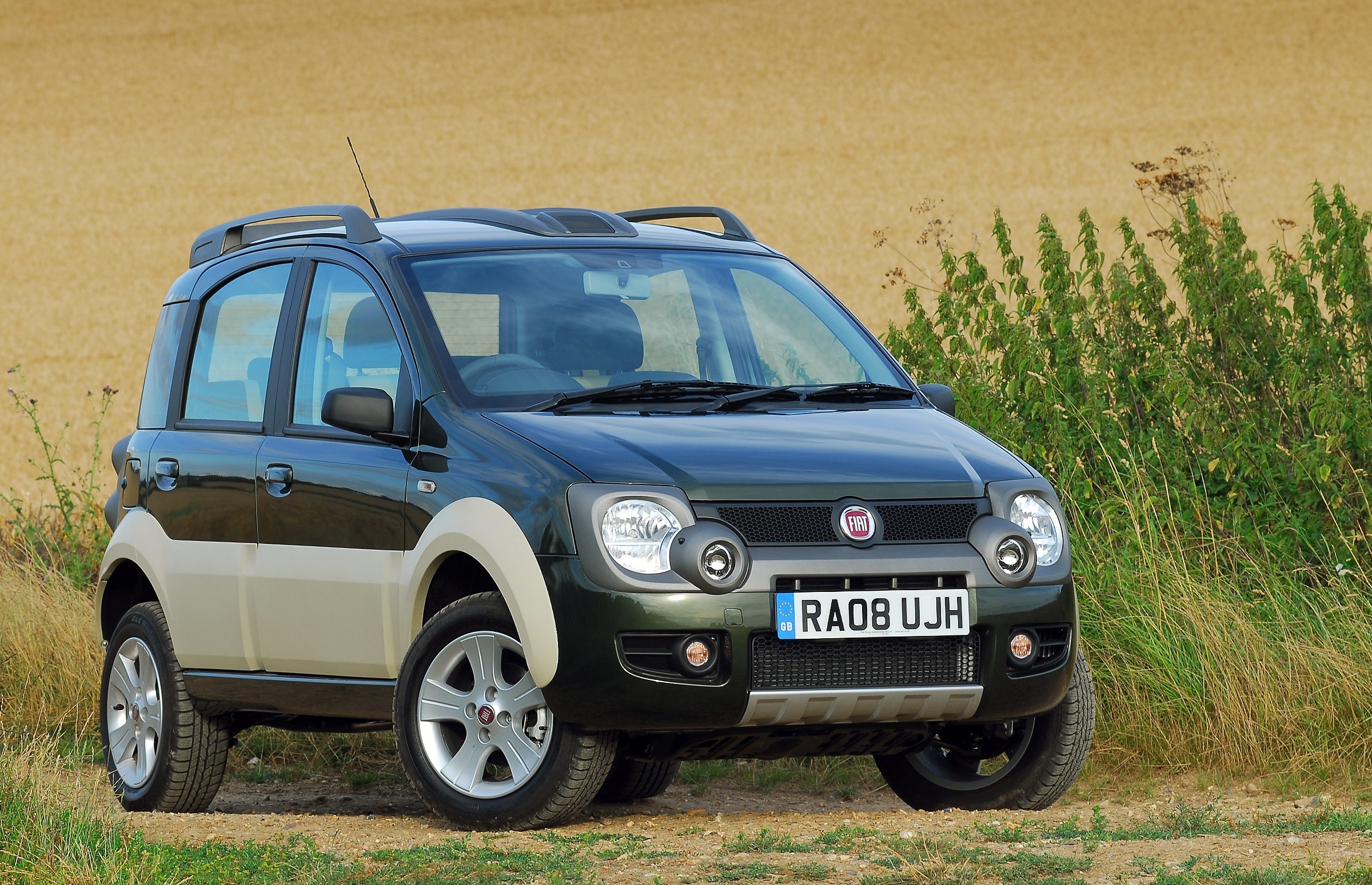 Fiat Panda Cross Picture 7234