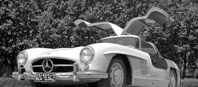Mercedes-Benz 300 SL (1954) - picture 12 of 38