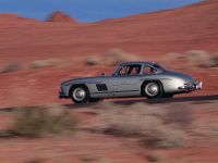Mercedes-Benz 300 SL (1954) - picture 14 of 38
