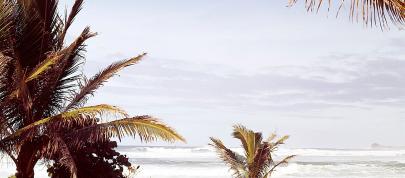 Volvo P1800 (1961) - picture 12 of 24