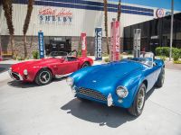 Shelby Cobra CSX 2000 (1962) - picture 1 of 4