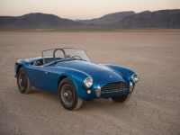 Shelby Cobra CSX 2000 (1962) - picture 2 of 4
