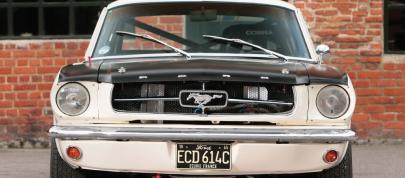 Ford Mustang 289 Racing Car (1965) - picture 4 of 8