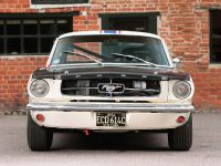 Ford Mustang 289 Racing Car (1965) - picture 4 of 8