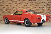 Shelby GT350 (1966) - picture 6 of 18