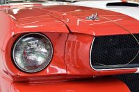 Shelby GT350 (1966) - picture 10 of 18