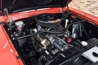 Shelby GT350 (1966) - picture 14 of 18