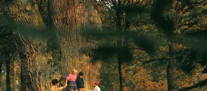 Volvo 145 (1967) - picture 31 of 37