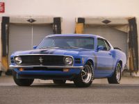 Ford Mustang Boss 302 (1970) - picture 1 of 5