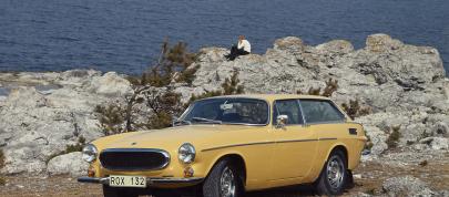 Volvo 1800ES (1971) - picture 7 of 31