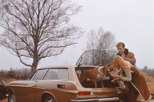 Volvo 1800ES (1971) - picture 16 of 31