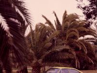 Renault 15 Coupe (1972)