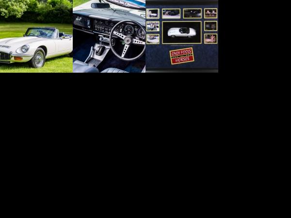 Jaguar F-Type Series III Roadster (1973) - picture 1 of 3