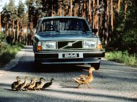 Volvo 244 (1974) - picture 6 of 12